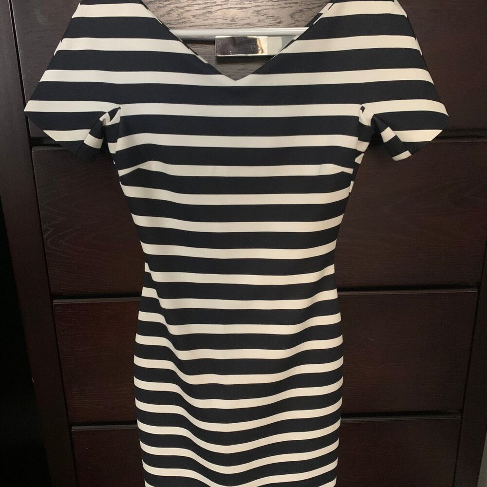 Zara Women Navy Blue and White dress